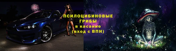 прущая мука Горно-Алтайск