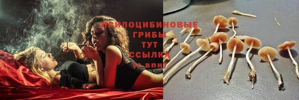 mix Горнозаводск