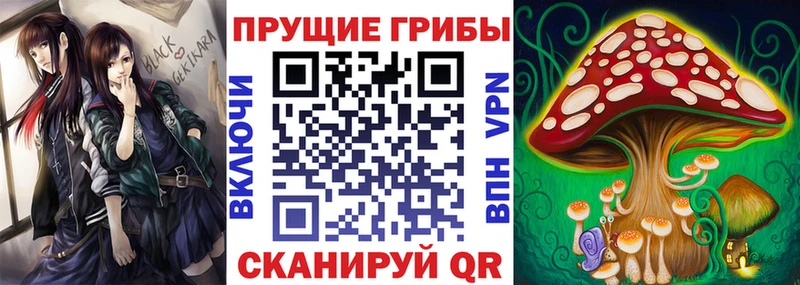 Купить  Зерноград  Псилоцибиновые грибы мухоморы 